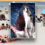 Tourist from Ohio attacked by shark while playing football in waist-deep water at Florida beach