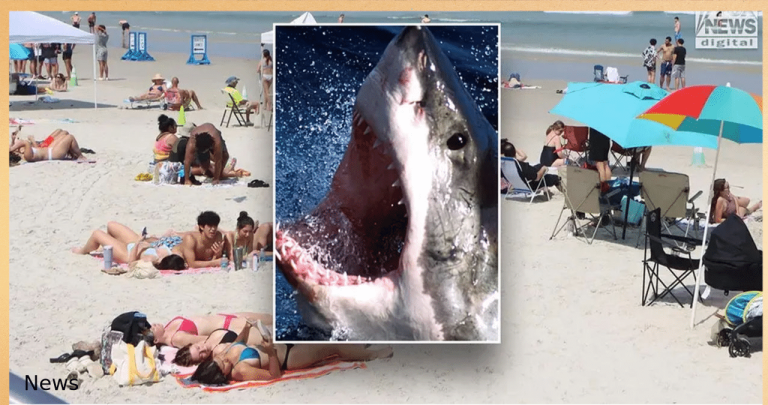 Tourist from Ohio attacked by shark while playing football in waist-deep water at Florida beach