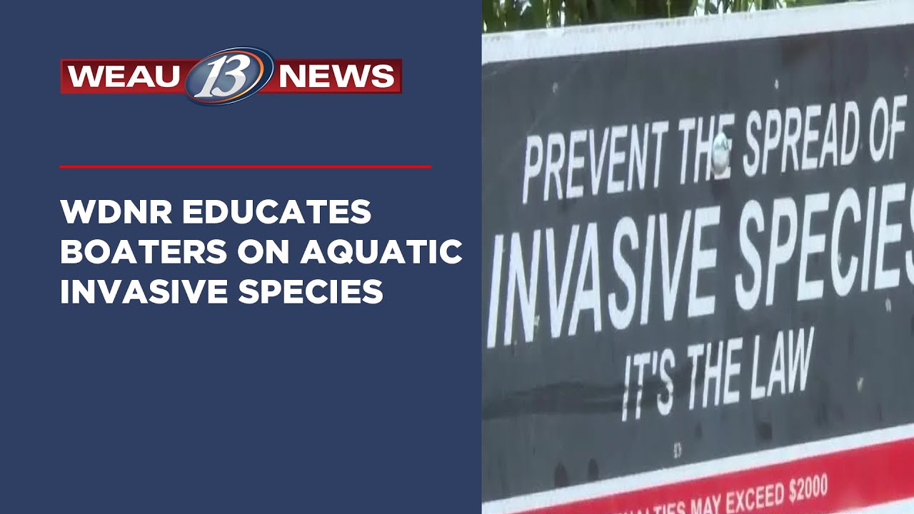 WDNR Educates Boaters on the Risks of Aquatic Invasive Species